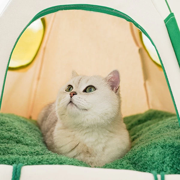 Dome Pet Tent - Image 4